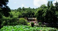 長沙出發(fā)到花明樓、韶山、張家界國家森林公園、天門仙山國家森林公園四日游